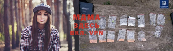 прущие грибы Арсеньев