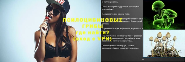 Альфа ПВП Аркадак