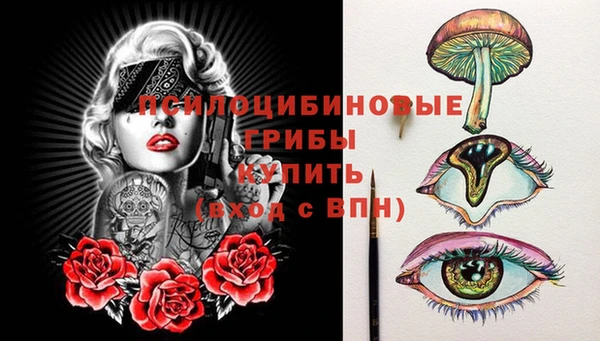 прущие грибы Арсеньев