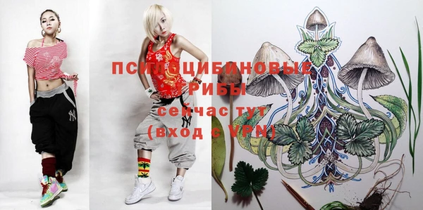 прущие грибы Арсеньев