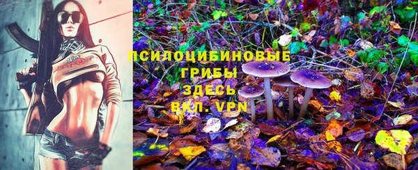 прущие грибы Арсеньев