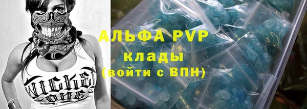 прущие грибы Арсеньев