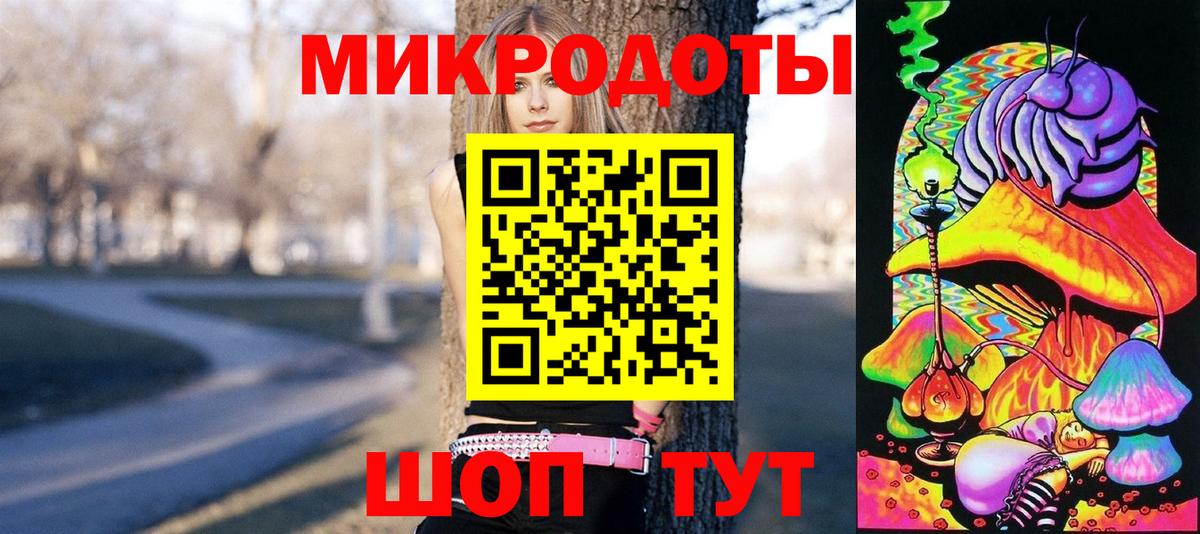Псилоцибиновые грибы Psilocybe Белебей
